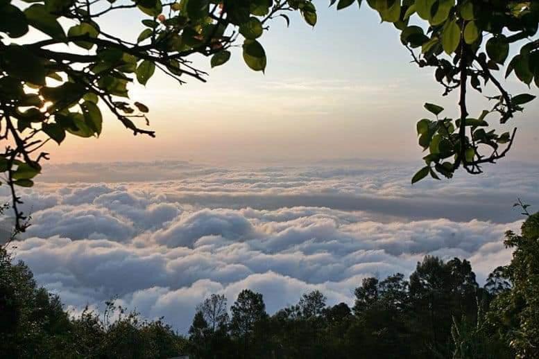 Minus 1 Otel Kodaikanal Dış mekan fotoğraf